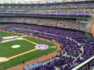 NYU Yankee Stadium