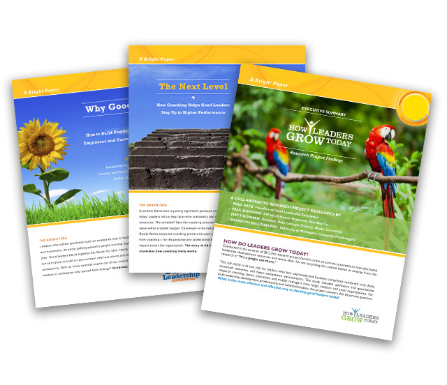 free-brightpapers Good Leadership - Free Tools - Bright Papers
