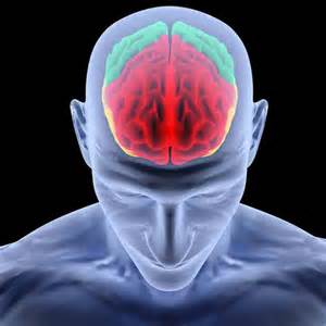 Neuroscience helps leaders understand how even the smallest requests for change create pain for followers.