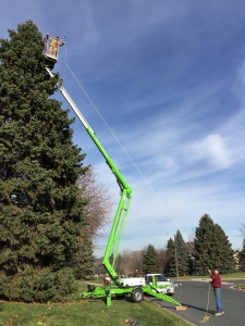 My 25 year old son, Ben Batz, wove the lights into the tree from a 50 foot bucket lift. John Martin and his sone Jake engineered the light configuration.