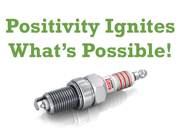 Good Leadership Enterprises 2015 Annual Report - Positivity ignites what's possible